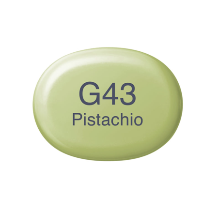 marker-copic-sketch-g43-pistachio