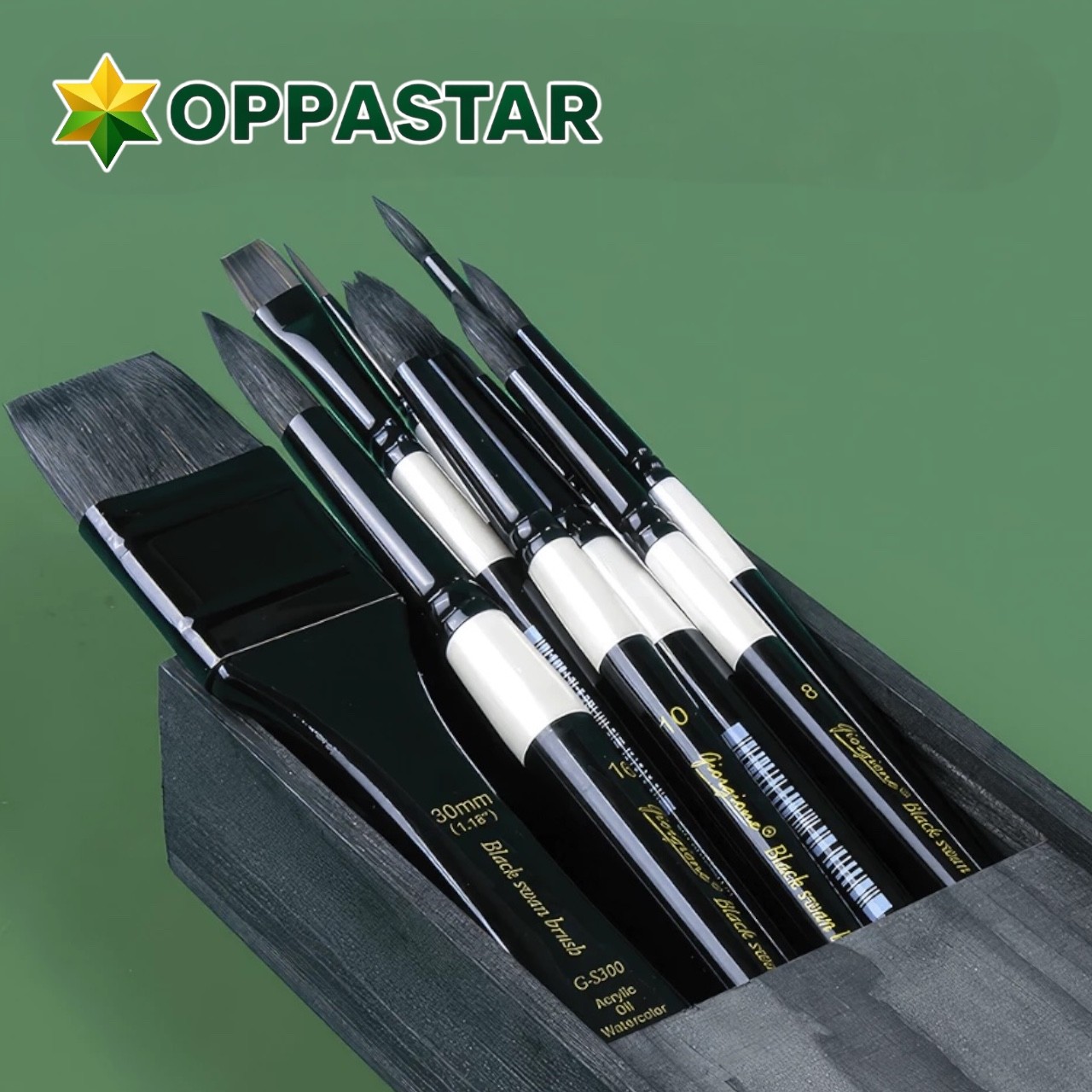 kuas-lukis-set-paint-brush-set-10-giorgione-s300-black-swan-premium-nylon-brush