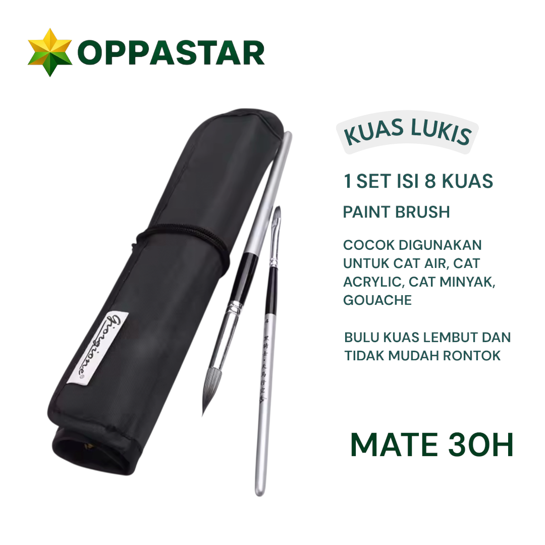 kuas-lukis-set-paint-brush-set-8-giorgione-mate-h30h-silver-handler