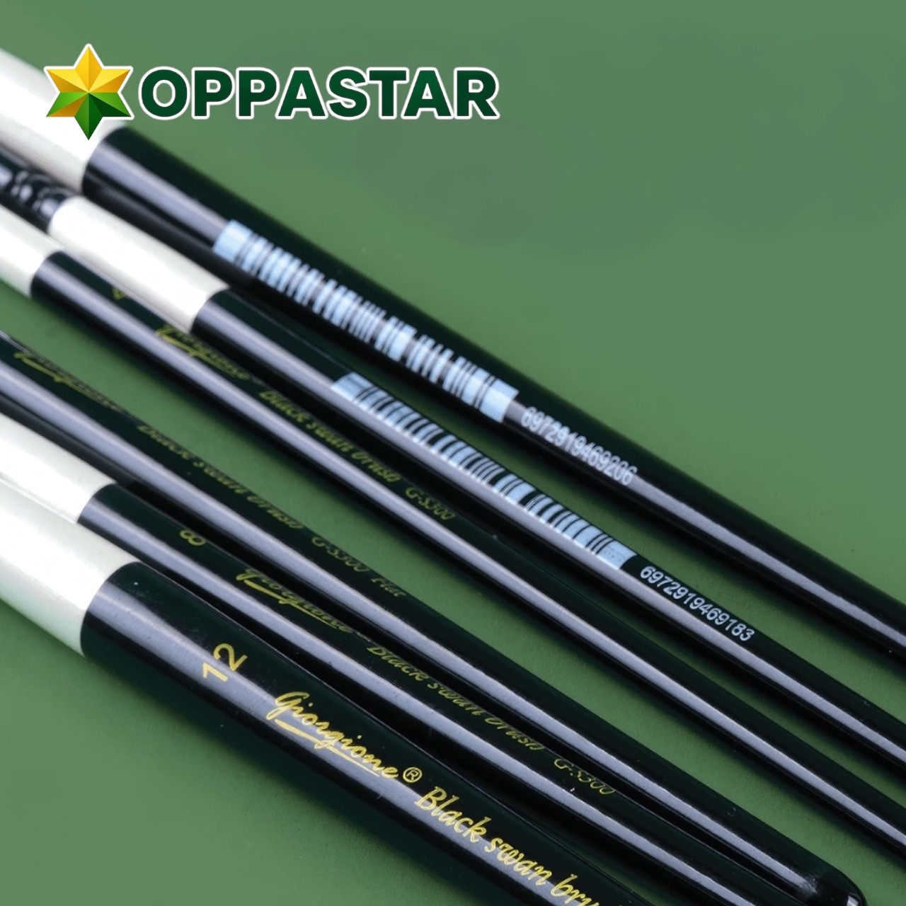 kuas-lukis-set-paint-brush-set-10-giorgione-s300-black-swan-premium-nylon-brush