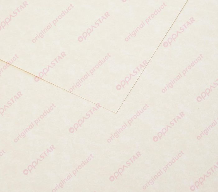 buku-kertas-kaligrafi-daler-rowney-calligraphy-paper-a4-403375400-pad